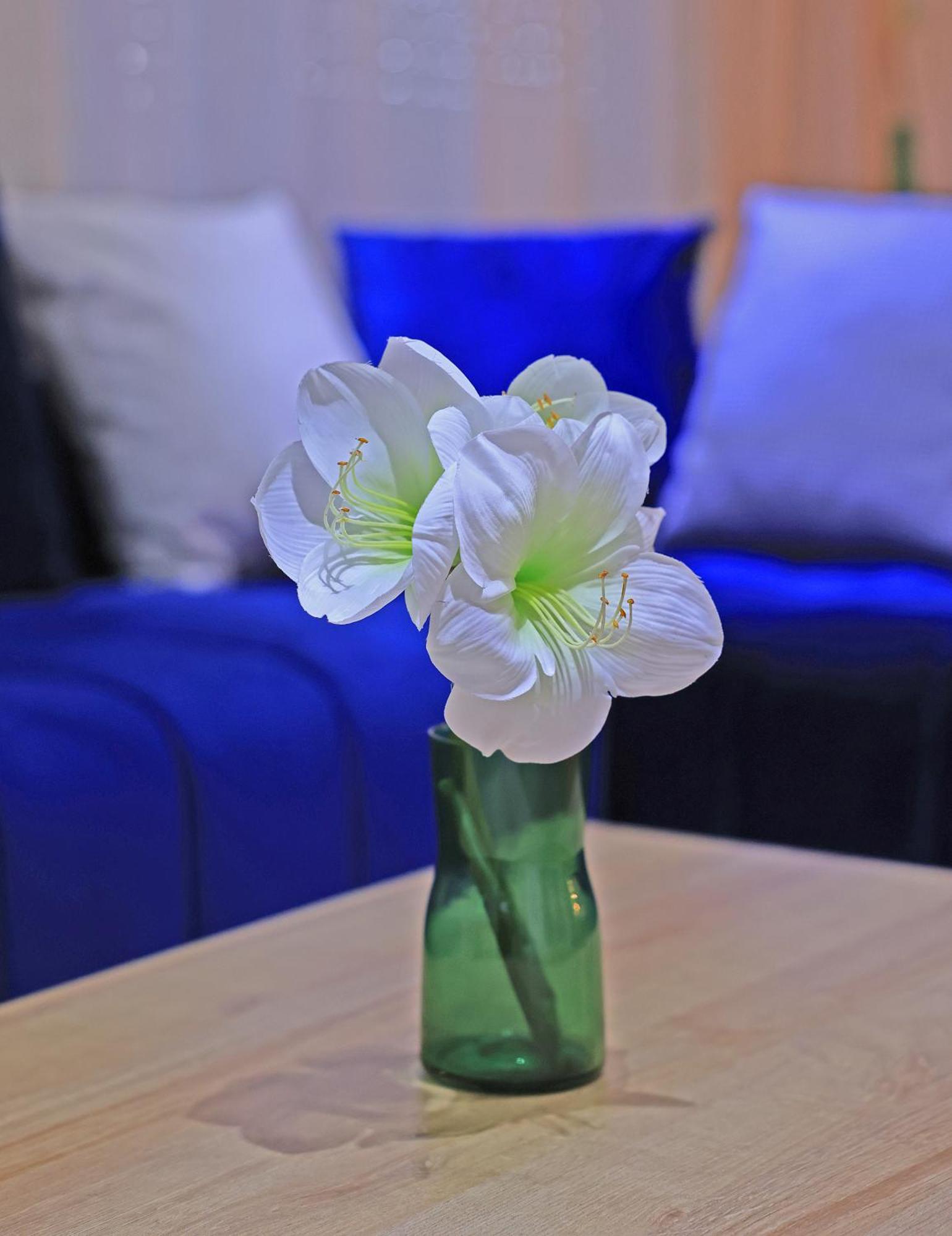 Hotel La Casa Blanca Tétouan 外观 照片